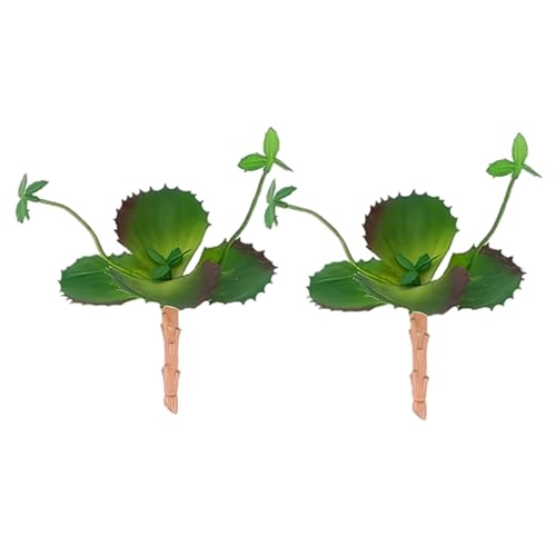KDAMGOQE 2pcs kleine künstliche Sukkulenten Doppelblüten Schmetterlingsfrucht Sukkulenten ungividierte grüne kleine Pflanzen für Home Office Kitchen Desktop KDAMGOQE 2pcs kleine künstliche Sukkulenten Doppelblüten Schmetterlingsfrucht Sukkulenten ungividierte grüne kleine Pflanzen für Home Office Kitchen Desktop von KDAMGOQE