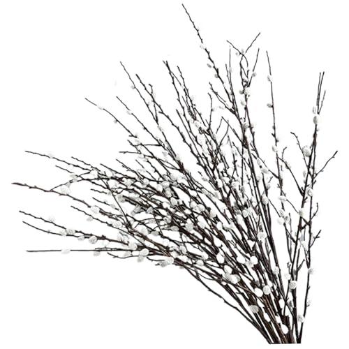 KDAMGOQE 4 Bündel künstliche Muschi Weidenzweige 31.5 in Langen realistischen Muscheln mit weißen Blumen DIY Dekorative getrocknete Muschi Weidenzweige für Vasen Hochzeitsfotografie Requisite KDAMGOQE 4 Bündel künstliche Muschi Weidenzweige 31.5 in Langen realistischen Muscheln mit weißen Blumen DIY Dekorative getrocknete Muschi Weidenzweige für Vasen Hochzeitsfotografie Requisite von KDAMGOQE