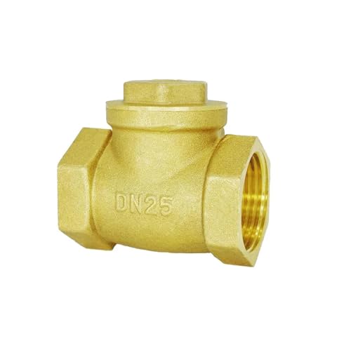 1 Inch BSPP Swing Check Valve Prevent Water Backflow Golden DN25 von KDCYFEZYI