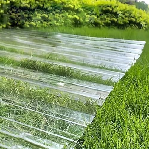 KDDFN Wellplatten,Transparente Dachplatten,Stummes/UV-Beständiges Dachmaterial,Tageslichtplatten für Gewächshäuser,Schlagfestigkeit Dachbleche Trapezblech,Inkl. Schrauben (0.9x1.15m/35x45in,8 Pcs) KDDFN Wellplatten,Transparente Dachplatten,Stummes/UV-Beständiges Dachmaterial,Tageslichtplatten für Gewächshäuser,Schlagfestigkeit Dachbleche Trapezblech,Inkl. Schrauben (0.9x1.15m/35x45in,8 Pcs) von KDDFN