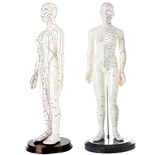 KDJFS Akupunktur Modell Echte Körperproportionen Meridiane TCM-Punkte Medizinische Schulungsmaterialien mit Genau Markiert Weich PVC Akupunktur Puppen mit Solider Stand & Fahrgestell KDJFS Akupunktur Modell Echte Körperproportionen Meridiane TCM-Punkte Medizinische Schulungsmaterialien mit Genau Markiert Weich PVC Akupunktur Puppen mit Solider Stand & Fahrgestell von KDJFS