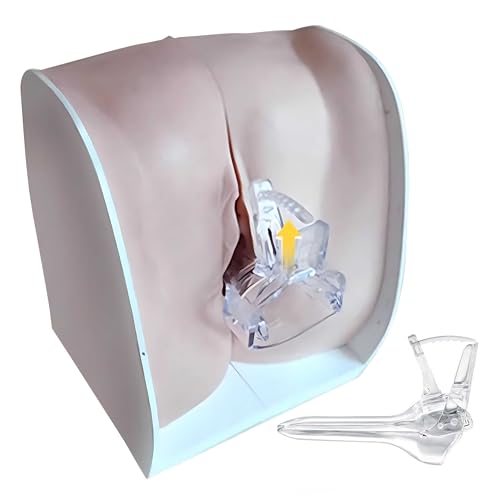 KDJFS Anatomische Gynäkologie Modell Weibliche Genitalien Modell Anatomie mit Genaue Anatomische Struktur für Lehre und Präsentation KDJFS Anatomische Gynäkologie Modell Weibliche Genitalien Modell Anatomie mit Genaue Anatomische Struktur für Lehre und Präsentation von KDJFS