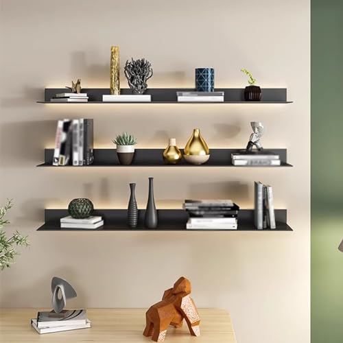 Schwebende Wandregale, Wandregale aus Metall mit LED-Licht, tragendes Wandlagerregal für Pflanzenregal oder Bücherregal (Farbe: Schwarz, Größe: 100 x 20 cm) von KDOQ