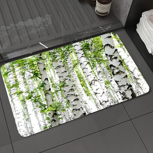 KDWJS Badematte rutschfest Super Absorbierende Badezimmerteppich,Waschbar Duschvorleger,Badewannen undBadezimmer, Birken im Wald, Sommer, Wildtiere, Natur, Motiv: Bild, Blau, Hellbraun,40x60 cm von KDWJS