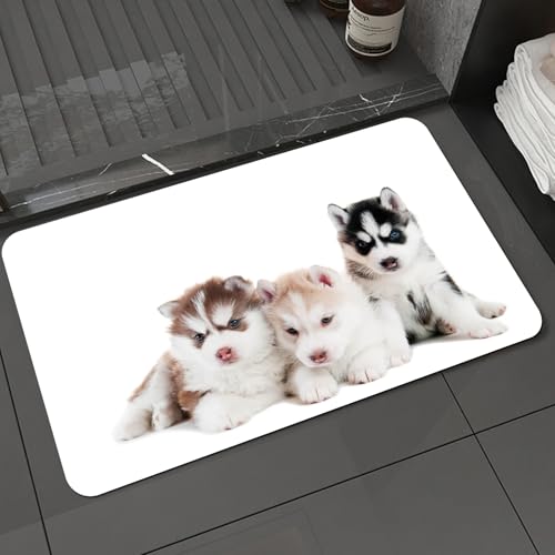 KDWJS Badematte rutschfest Super Absorbierende Badezimmerteppich,Waschbar Duschvorleger,Badewannen undBadezimmer,DREI süße kleine sibirische Welpen Blaue Augen Bild Dekoration,40x60 cm KDWJS Badematte rutschfest Super Absorbierende Badezimmerteppich,Waschbar Duschvorleger,Badewannen undBadezimmer,DREI süße kleine sibirische Welpen Blaue Augen Bild Dekoration,40x60 cm von KDWJS