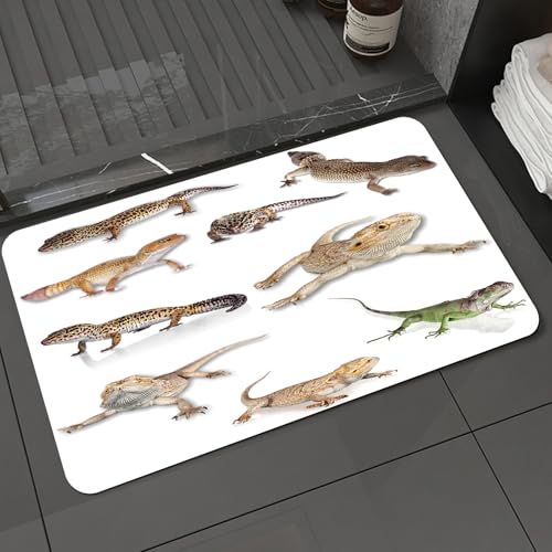 KDWJS Badematte rutschfest Super Absorbierende Badezimmerteppich,Waschbar Duschvorleger,Badewannen undBadezimmer,FAE, Leopardgecko, Primitive Reptilien Wildlife Kunstdruck Faenbild,40x60 cm von KDWJS