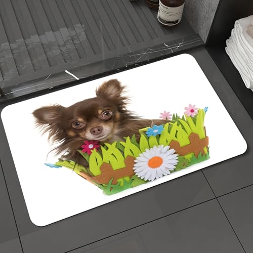 KDWJS Badematte rutschfest Super Absorbierende Badezimmerteppich,Waschbar Duschvorleger,Badewannen undBadezimmer,Junge Langhaar Chihuahua Welpen Hund reinrassige Box Tiere Blume wenig in de,40x60 cm KDWJS Badematte rutschfest Super Absorbierende Badezimmerteppich,Waschbar Duschvorleger,Badewannen undBadezimmer,Junge Langhaar Chihuahua Welpen Hund reinrassige Box Tiere Blume wenig in de,40x60 cm von KDWJS