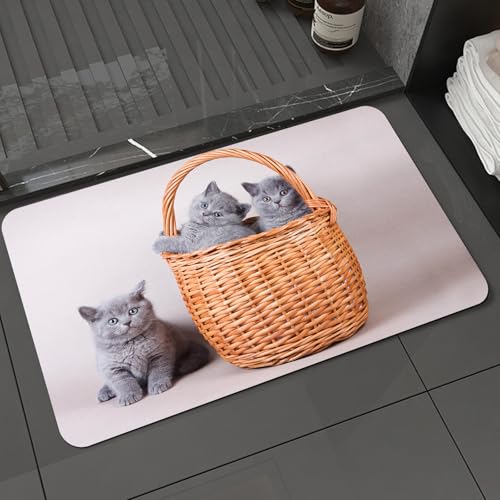 KDWJS Badematte rutschfest Super Absorbierende Badezimmerteppich,Waschbar Duschvorleger,Badewannen undBadezimmer,Kätzchen, DREI britische Katzen im Korb, entzückende Tierbabys, Flauschige H,40x60 cm von KDWJS
