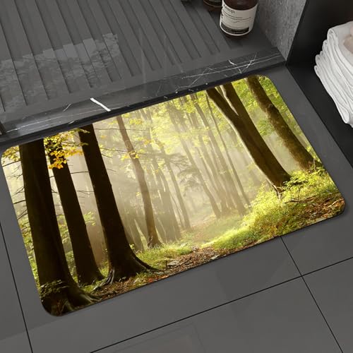 KDWJS Badematte rutschfest Super Absorbierende Badezimmerteppich,Waschbar Duschvorleger,Badewannen undBadezimmer,Natur, Herbstwald Misty Natural Way Foto d,40x60 cm KDWJS Badematte rutschfest Super Absorbierende Badezimmerteppich,Waschbar Duschvorleger,Badewannen undBadezimmer,Natur, Herbstwald Misty Natural Way Foto d,40x60 cm von KDWJS