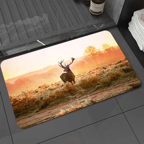 KDWJS Badematte rutschfest Super Absorbierende Badezimmerteppich,Waschbar Duschvorleger,Badewannen undBadezimmer,Rothirsch in der Morgensonne Natur Wilde Landschaft Ländlichen Feld Heathers,40x60 cm KDWJS Badematte rutschfest Super Absorbierende Badezimmerteppich,Waschbar Duschvorleger,Badewannen undBadezimmer,Rothirsch in der Morgensonne Natur Wilde Landschaft Ländlichen Feld Heathers,40x60 cm von KDWJS