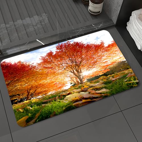 KDWJS Badematte rutschfest Super Absorbierende Badezimmerteppich,Waschbar Duschvorleger,Badewannen undBadezimmer,Sonnige Bäume und Herbstblätter, Kussblätter und Herbstteppich, Sonnenschein,40x60 cm KDWJS Badematte rutschfest Super Absorbierende Badezimmerteppich,Waschbar Duschvorleger,Badewannen undBadezimmer,Sonnige Bäume und Herbstblätter, Kussblätter und Herbstteppich, Sonnenschein,40x60 cm von KDWJS