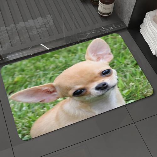KDWJS Badematte rutschfest Super Absorbierende Badezimmerteppich,Waschbar Duschvorleger,Badewannen undBadezimmer,Tier, EIN süßer Chihuahua-Welpe starrt auf den üppigen Rasen,40x60 cm von KDWJS
