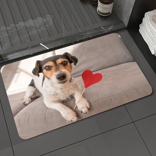 KDWJS Badematte rutschfest Super Absorbierende Badezimmerteppich,Waschbar Duschvorleger,Badewannen undBadezimmer,Tier, EIN süßer Welpe, der eine herzförmige Requisite auf einem grauen Sofa,40x60 cm von KDWJS
