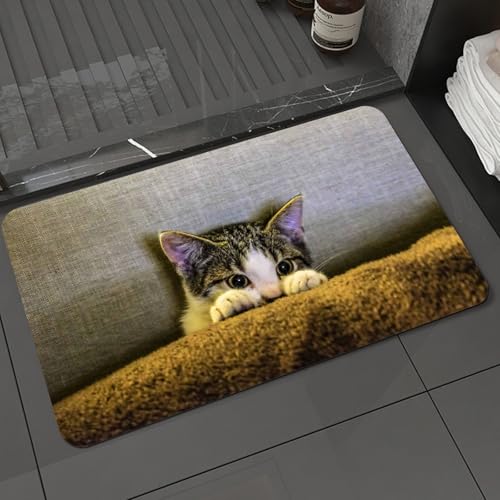 KDWJS Badematte rutschfest Super Absorbierende Badezimmerteppich,Waschbar Duschvorleger,Badewannen undBadezimmer,Tier, EIN süßes Kätzchen mit großen Augen im Gesicht, das süß hdem Kissen he,40x60 cm von KDWJS