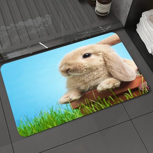 KDWJS Badematte rutschfest Super Absorbierende Badezimmerteppich,Waschbar Duschvorleger,Badewannen undBadezimmer,Tier, EIN süßes Kaninchen mit weichem Fell und großen Augen, lehnt an Einer,40x60 cm von KDWJS