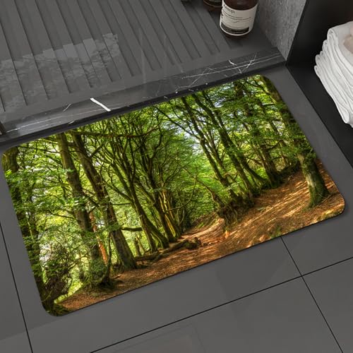 KDWJS Badematte rutschfest Super Absorbierende Badezimmerteppich,Waschbar Duschvorleger,Badewannen undBadezimmer,Valentinstagsmuster mit Blumen und lebendigen Herzen (78),40x60 cm von KDWJS
