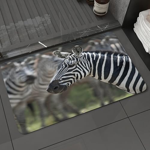KDWJS Badematte rutschfest Super Absorbierende Badezimmerteppich,Waschbar Duschvorleger,Badewannen undBadezimmer,Zebra im Serengeti-Nationalpark Tansania Afrika,40x60 cm KDWJS Badematte rutschfest Super Absorbierende Badezimmerteppich,Waschbar Duschvorleger,Badewannen undBadezimmer,Zebra im Serengeti-Nationalpark Tansania Afrika,40x60 cm von KDWJS