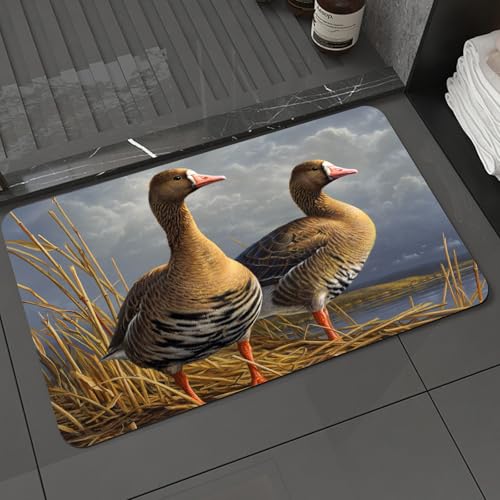 KDWJS Badematte rutschfest Super Absorbierende Badezimmerteppich,Waschbar Duschvorleger,Badewannen undBadezimmer,Zwei Gänse in der natürlichen Umgebung Zeigen einzigartige Federn und sitzen,40x60 cm KDWJS Badematte rutschfest Super Absorbierende Badezimmerteppich,Waschbar Duschvorleger,Badewannen undBadezimmer,Zwei Gänse in der natürlichen Umgebung Zeigen einzigartige Federn und sitzen,40x60 cm von KDWJS