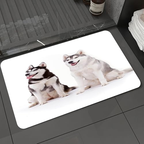 KDWJS Badematte rutschfest Super Absorbierende Badezimmerteppich,Waschbar Duschvorleger,Badewannen undBadezimmer,Zwei Huskys sitzen nebeneinander, ihre ausdrucksstarken Augen und offenen Mü,40x60 cm KDWJS Badematte rutschfest Super Absorbierende Badezimmerteppich,Waschbar Duschvorleger,Badewannen undBadezimmer,Zwei Huskys sitzen nebeneinander, ihre ausdrucksstarken Augen und offenen Mü,40x60 cm von KDWJS