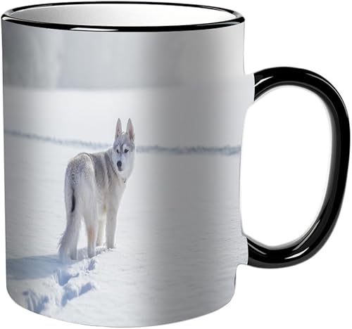 KDWJS Tasse Keramik Kaffeetassen Große 11oz Tassen 330ml Trinkgläser Mit Griff Personalisierte Geschenk Weiß,Wilder Siberian Husky Winter spielt Schnee Wald Alaskan Tiere Wolf Wildlife Natur Kälte, von KDWJS