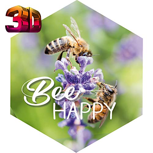 KE - Vielseitiger 3D-Magnet für Kühlschrank, Whiteboard und Büroschränke, 60x60mm - Motiv: Bee Happy von KE