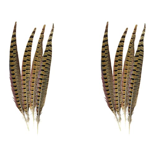 KEALBAUS Durst der Natur Ilfagiano-, 4 Stück, natürliche Ilfagiano-, 30,5 – 35,5 cm, 8 Stück von KEALBAUS