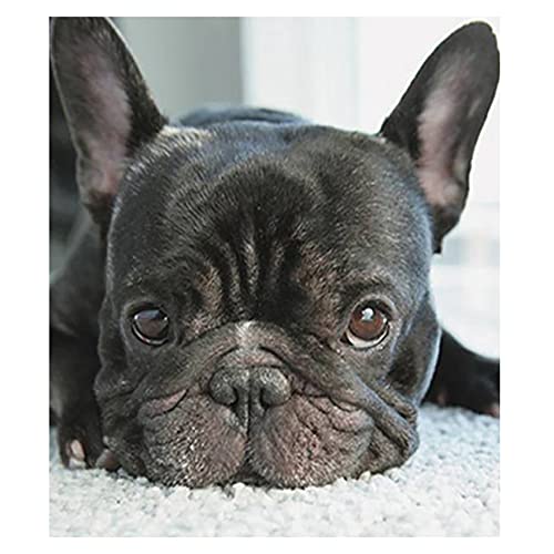 KEALLANS 5D DIY Diamant Malerei Kreuz Stich Kleine Schwarze Hunde Köpfe Voller Diamant Stickerei Französisch Bulldog Runde Diamant Welpen von KEALLANS