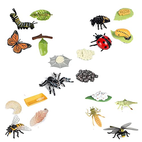 KEALLANS Leben Zyklus Figuren Von Schmetterling, Spinne, Biene, Marien, Libelle, Kunststoff Insekten Figuren, Spielzeug, Schul Projekt für Kinder KEALLANS Leben Zyklus Figuren Von Schmetterling, Spinne, Biene, Marien, Libelle, Kunststoff Insekten Figuren, Spielzeug, Schul Projekt für Kinder von KEALLANS