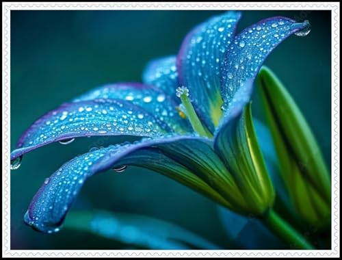 Taglilien-Rhizom/Schnellwachsend/Natürliches Wachstum/Kälte- und dürreresistent -8 Rhizom-A Taglilien-Rhizom/Schnellwachsend/Natürliches Wachstum/Kälte- und dürreresistent -8 Rhizom-A von KEDROKJB