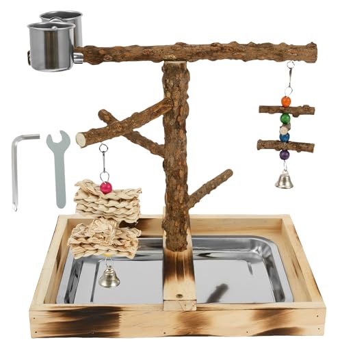 KEGAJEGA Vogel Spielständer Holz Vogel Spielplatz mit 2 Feeder-Cup Wellensittich Spielplatz Papageienständer für Kleine Vögel Mittelgroße Vögel Sittiche Wellensittiche Nymphensittiche KEGAJEGA Vogel Spielständer Holz Vogel Spielplatz mit 2 Feeder-Cup Wellensittich Spielplatz Papageienständer für Kleine Vögel Mittelgroße Vögel Sittiche Wellensittiche Nymphensittiche von KEGAJEGA