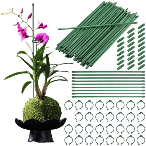 KEILEOHO 50 Stück Pflanzstäbe Pflanzenstütze 30 cm, Blumenstütze Kunststoff Grün, Pflanzenstab Plastik Garten Pflanzenhalter Tomatenstäbe mit 25 Steckverbinder und 50 Kunststoffring KEILEOHO 50 Stück Pflanzstäbe Pflanzenstütze 30 cm, Blumenstütze Kunststoff Grün, Pflanzenstab Plastik Garten Pflanzenhalter Tomatenstäbe mit 25 Steckverbinder und 50 Kunststoffring von KEILEOHO
