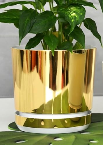 KERD Eleganter Blumentopf 14 cm Gold-Weiß, Runder Pflanzkübel für Innen mit Untersetzer, Deko Übertopf aus 100% Recycling-Kunststoff von KERD