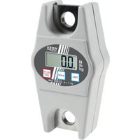 KERN Hängewaage HCB 0.5T-3 von KERN & Sohn