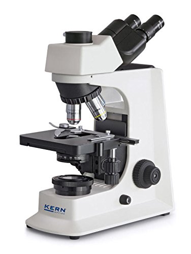 KERN Optics Hochleistungs-Verbundmikroskop, Trinokular Tubus, Achromatisch, Weiß/Schwarz, 4x/10x/40x/100x Objektiv, 20 W Halogen, Durchgestrah von KERN