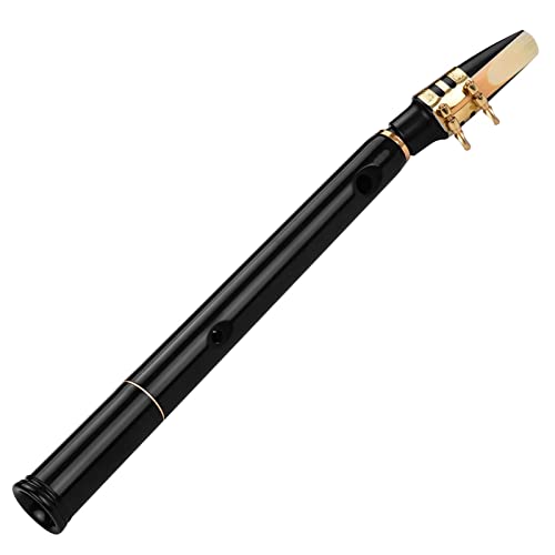 KESHUO Pocket Sax Mini Tragbares Saxophon wenig Saxophon Mini Sax mit Tragetasche Windinstrument Blechbläser Saxophon Anfänger Kit (Color : Black) von KESHUO