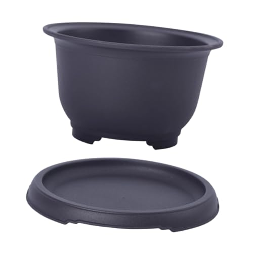 KESOTO Bonsai Topf Pflanzentopf Schale Aufzuchttopf mit Gutem Wasserablauf Und Erhöhten Füßen Aus Widerstandsfähigem PP für Wohnzimmer Arbeitsplatz Terrasse, Mehrfarbig, 12 x 7,3 x 7,1 cm von KESOTO