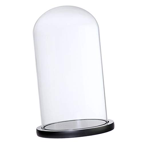 KESOTO Transparent Glasglocke Glashaube Glaskuppel Glasabdeckung mit Holzsockel - Schwarz F KESOTO Transparent Glasglocke Glashaube Glaskuppel Glasabdeckung mit Holzsockel - Schwarz F von KESOTO