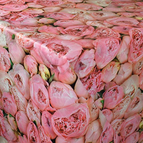 KEVKUS Wachstuch Tischdecke geprägt Meterware K-ML3203 Pfingstrosen Blumen floral Blüten wählbar in eckig rund oval (Rand: Paspel (mit Kunststoffband), 140 x 140 cm eckig) von KEVKUS