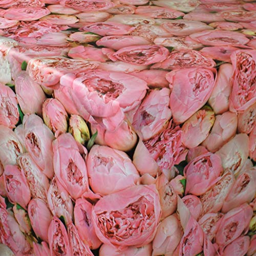 KEVKUS Wachstuch Tischdecke geprägt Meterware K-ML3203 Pfingstrosen Blumen floral Blüten wählbar in eckig rund oval (Rand: Schnittkante (ohne Einfassung), 120 x 120 cm eckig) von KEVKUS