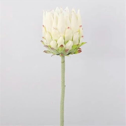KEWPLW Distel mit einzelnem Stamm, 61 cm lang, künstliche Beflockung für Tafelaufsätze erhältlich, weiß von KEWPLW