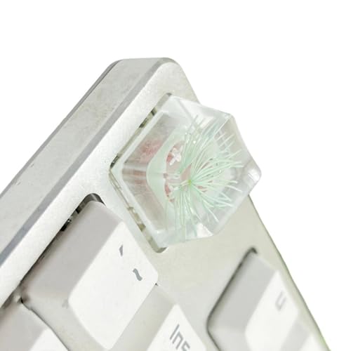 KEXIAO Harz-Tastenkappe mit hoher Transparenz für mechanische Tastaturen mit elegantem Kiefernblüten-Design von KEXIAO