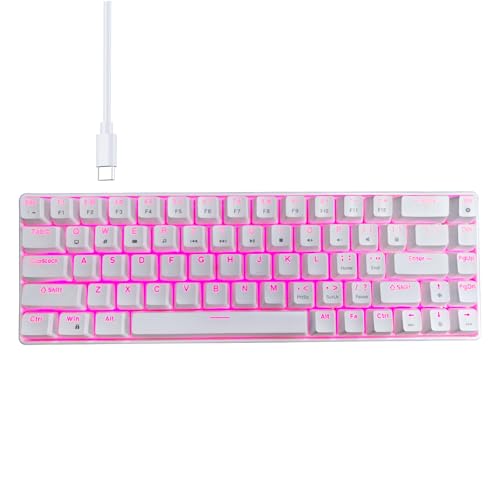 KEXIAO Mechanische Tastatur mit 68 Tasten, Double Shot Injections mit Hintergrundbeleuchtung, für PC-Gamer, USB C, kleine Gaming-Tastatur KEXIAO Mechanische Tastatur mit 68 Tasten, Double Shot Injections mit Hintergrundbeleuchtung, für PC-Gamer, USB C, kleine Gaming-Tastatur von KEXIAO