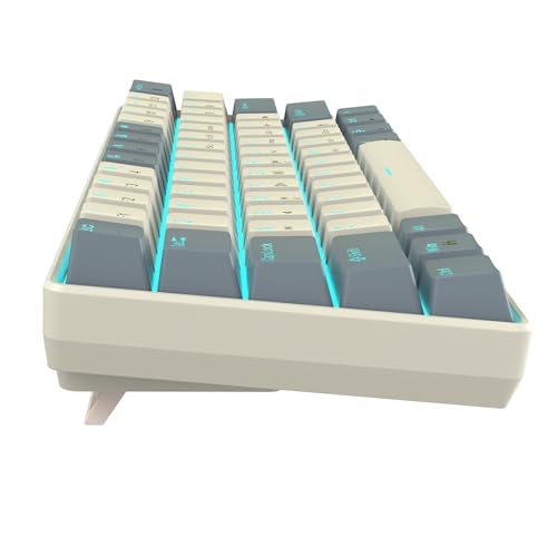 KEXIAO Mechanische Tastaturen mit USB-Kabel, 60 %, 61 Tasten, mit Hintergrundbeleuchtung und Tastenkappen für PC-Gamer KEXIAO Mechanische Tastaturen mit USB-Kabel, 60 %, 61 Tasten, mit Hintergrundbeleuchtung und Tastenkappen für PC-Gamer von KEXIAO