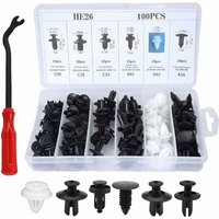 100 Stück Befestigungsclips Auto Clips Set, 6 Arten Türverkleidung Clips Nylon Stoßstange Spreiznieten Karosserie Clips Kunststoffniete von KEYOUNG