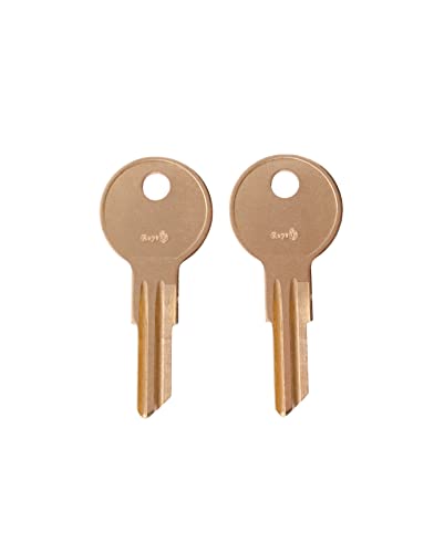CH503 Ersatzschlüssel für Schlösser mit CH503 Code Cut nach Code von keys22 (ch503) 2 Stück von KEYS22