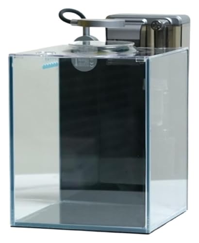 Fischschale, Fischglas, Fischtank, Fisch Schüssel Wohnzimmer Hause Desktop Büro Kleine Aquarium Mit Zubehör von KEuLen