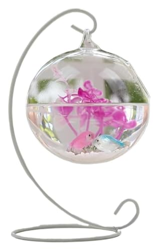 Fischschale, Fischglas, Fischtank, Fischschale for Aufhängen, transparent, for den Schreibtisch, kleine Aquarien(White,Medium) von KEuLen