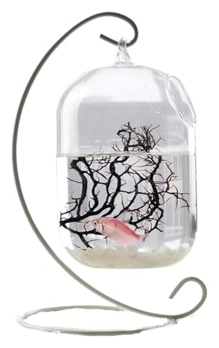 Fischschale, Fischglas, Fischtank, Glas Kleine Fisch Schüssel Metall Rahmen Hängen Desktop Dekorative Fisch Tanks Aquarien(White,Small) von KEuLen