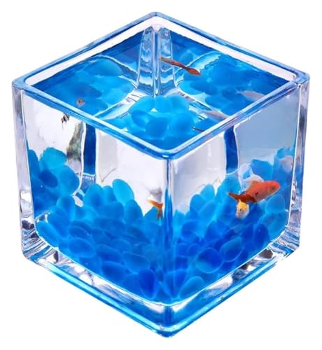 Fischschale, Fischglas, Fischtank, Glas Quadrat Fisch Tank Verdickt Tisch Top Transparent Kampf Fisch Schüssel(Medium) von KEuLen