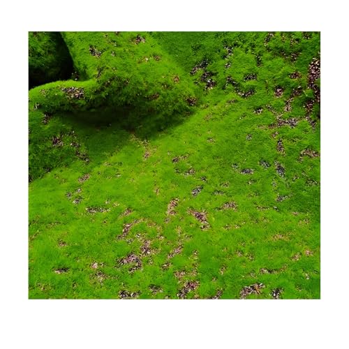 KFDDO 1mx1m Weiches Kunstmoos Pflanzenteppich Moos, füR BüRo, Garten Balkon Wohnzimmer GeschäFt Dekoration(F) von KFDDO